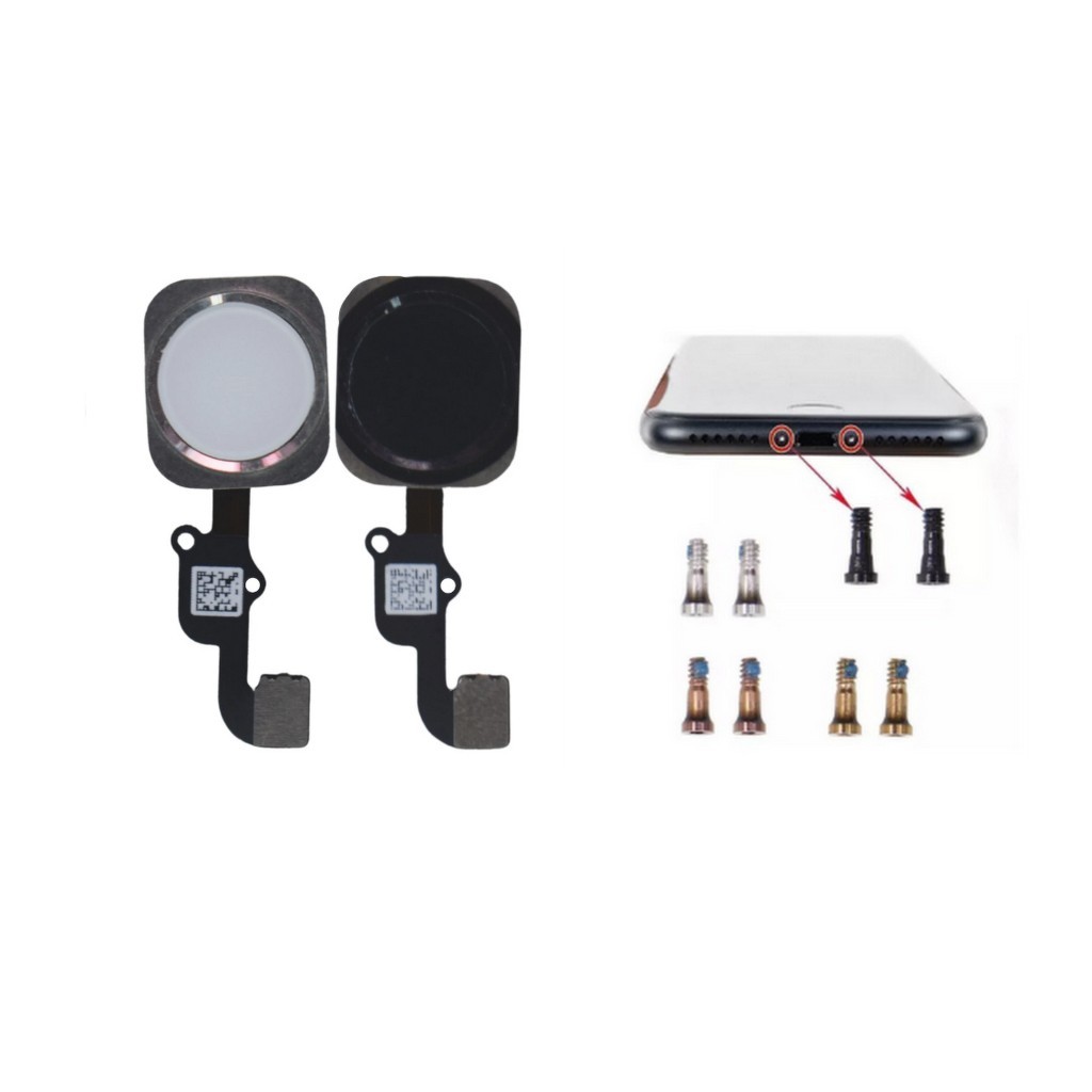 Botão Flex Home Compatível Com iPhone 6 6s 6 Plus e 6s Plus Sem Digital + 2 Parafusos Pentalobe Tela