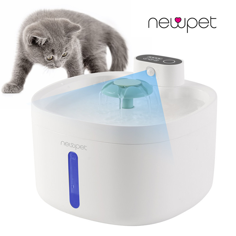 Bebedouro 2: Guia Completo e Onde Comprar | BuscaProdutos