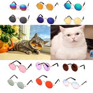 2 Pcs Óculos Adoráveis para Seu Pet - Fofura Dobrada em Oferta na Shopee