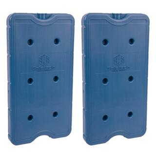 Kit Placa Gelo Rígido 750ml Gel Artificial Reutilizável Transporte Alimentos Bebidas Medicamentos em Oferta na Shopee