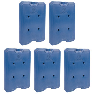 Kit Placa Gelo Gel Artificial Reutilizável Rígido 550ml Transporte Alimentos Bebidas Medicamentos em Oferta na Shopee