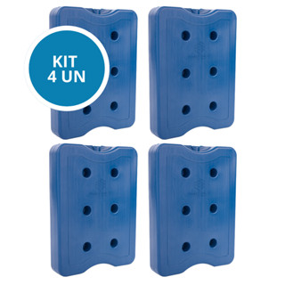 Kit Placa Gelo Rígido 2000ml Gel Artificial Reutilizável 2 Litros Transporte Alimento Bebida Remedio em Oferta na Shopee