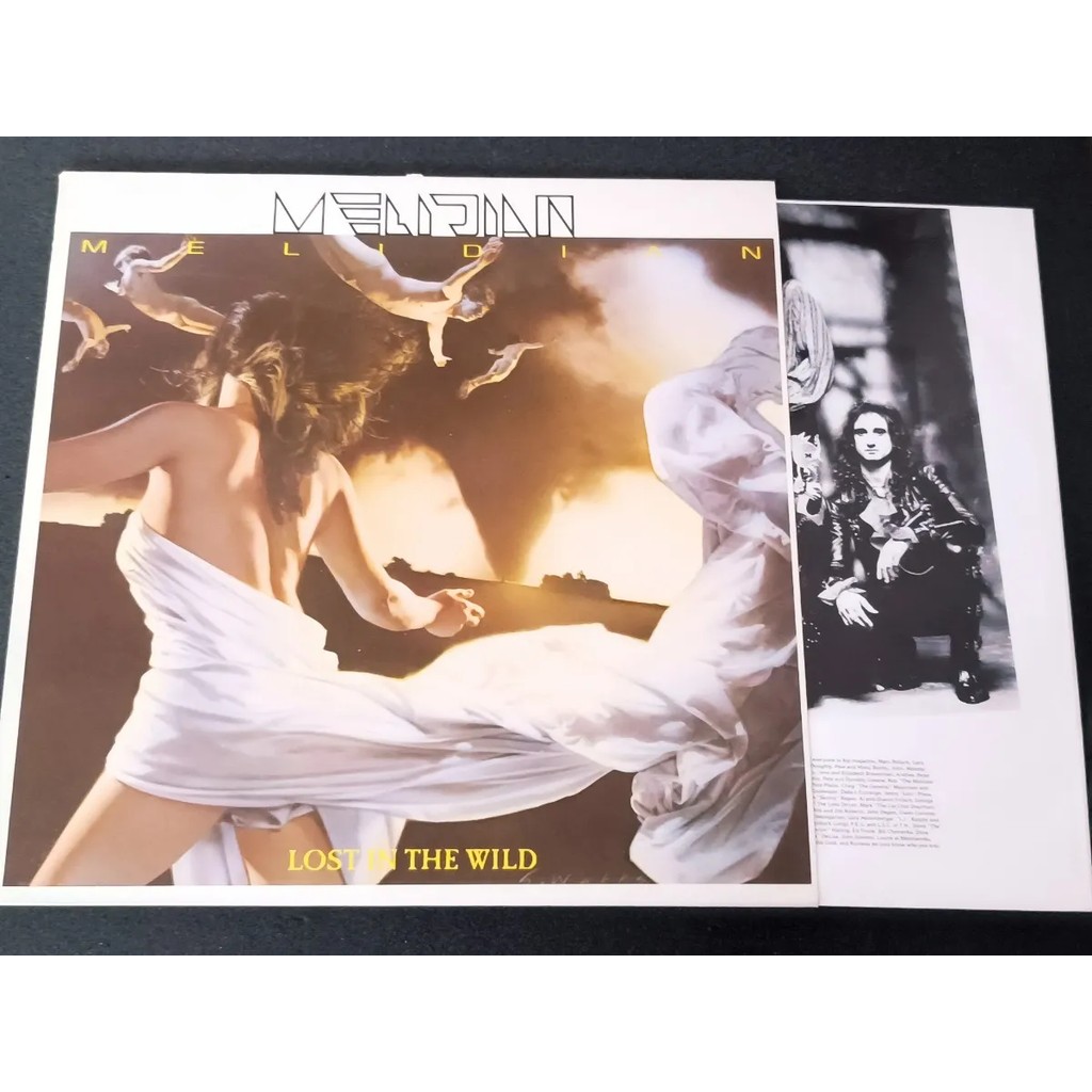 Lp - Melidian - Lost In The Wild * Us - Hard Rock - 1989