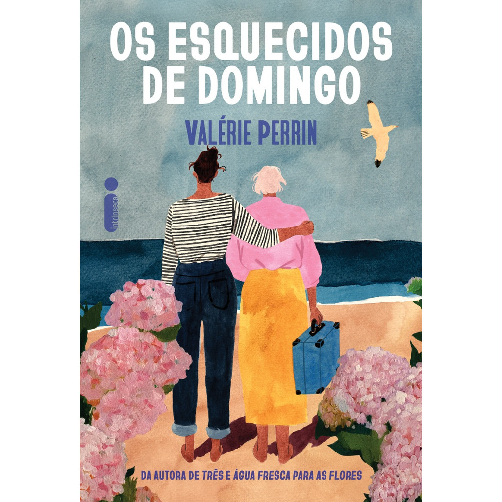Os esquecidos de domingo por Valérie Perrin, Intrínseca em Oferta na Shopee