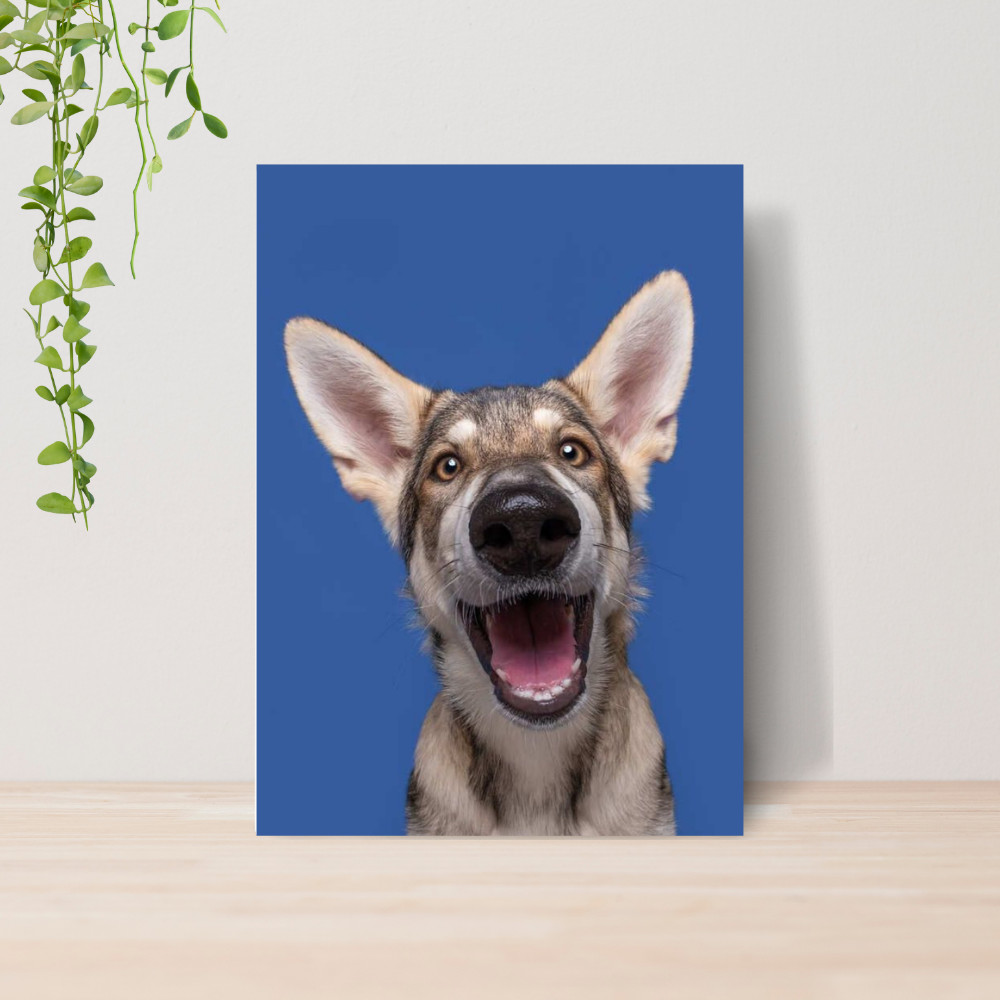 Quadro Decorativo PetShop Banho e Tosa Animais 13 Poster Pet Shop Cachorro Gato MDF