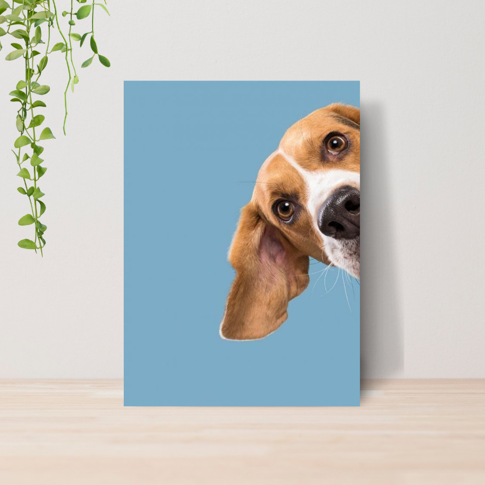 Quadro Decorativo PetShop Banho e Tosa Animais 19 Poster Pet Shop Cachorro Gato MDF