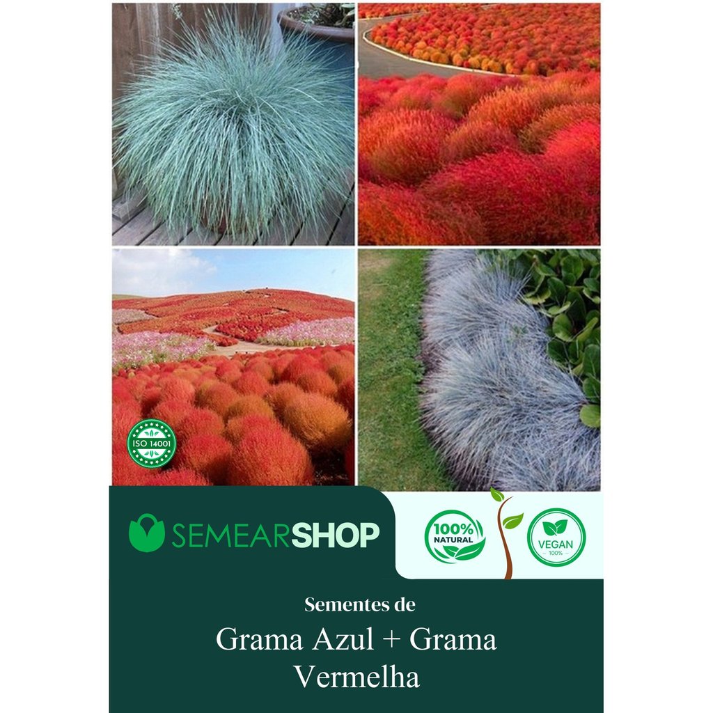 Sementes de Grama Azul E Grama Vermelha