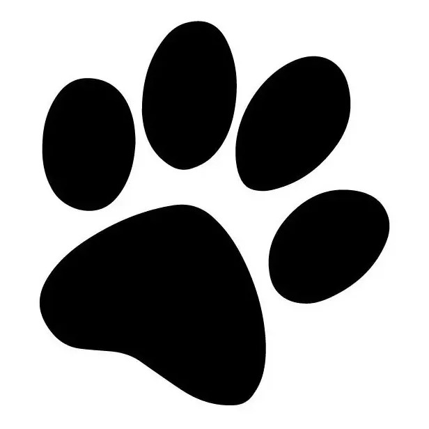 Adesivo Patinhas 48 Und Cachorro Pet Shop Vitrine Patas