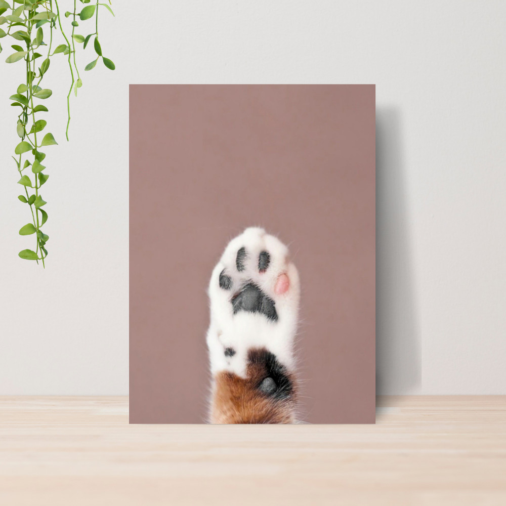 Quadro Decorativo PetShop Banho e Tosa Animais 15 Poster Pet Shop Cachorro Gato MDF