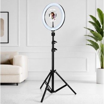 Ring Light Profissional 10 Polegadas com Tripé Alto 2,10m para TikTok YouTube Selfie e Live