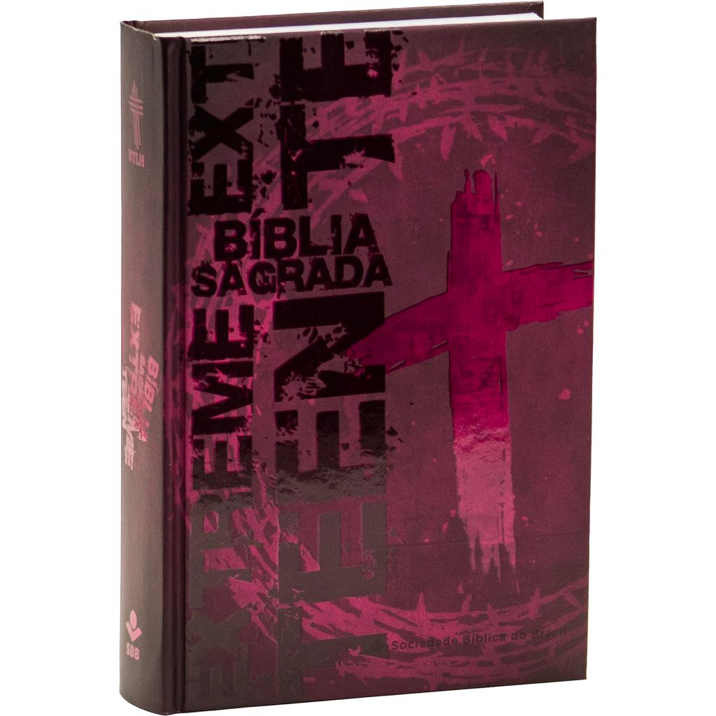 Bíblia Extreme Teen para Jovens e Adolescentes | SBB | Bíblia Sagrada Extreme Teen - Capa dura