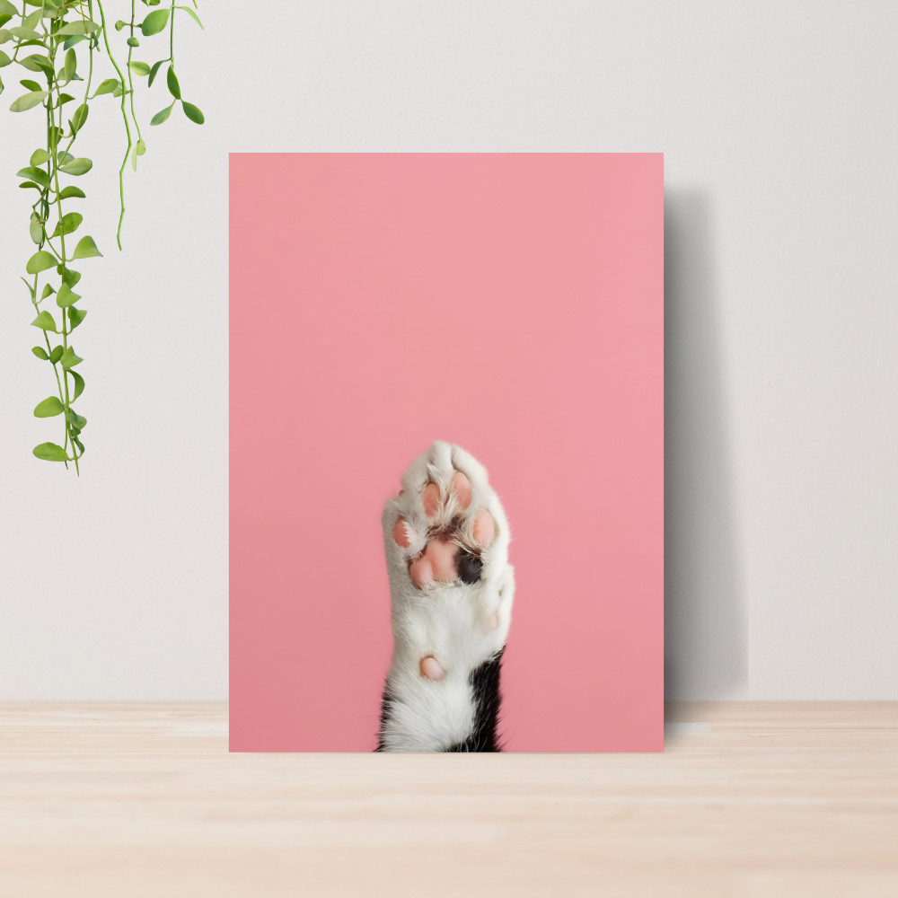 Quadro Decorativo PetShop Banho e Tosa Animais 02 Poster Pet Shop Cachorro Gato MDF