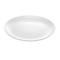 Jogo de Pratos Raso de Jantar Essenza Opaline 27 cm - Rojemac Profissional