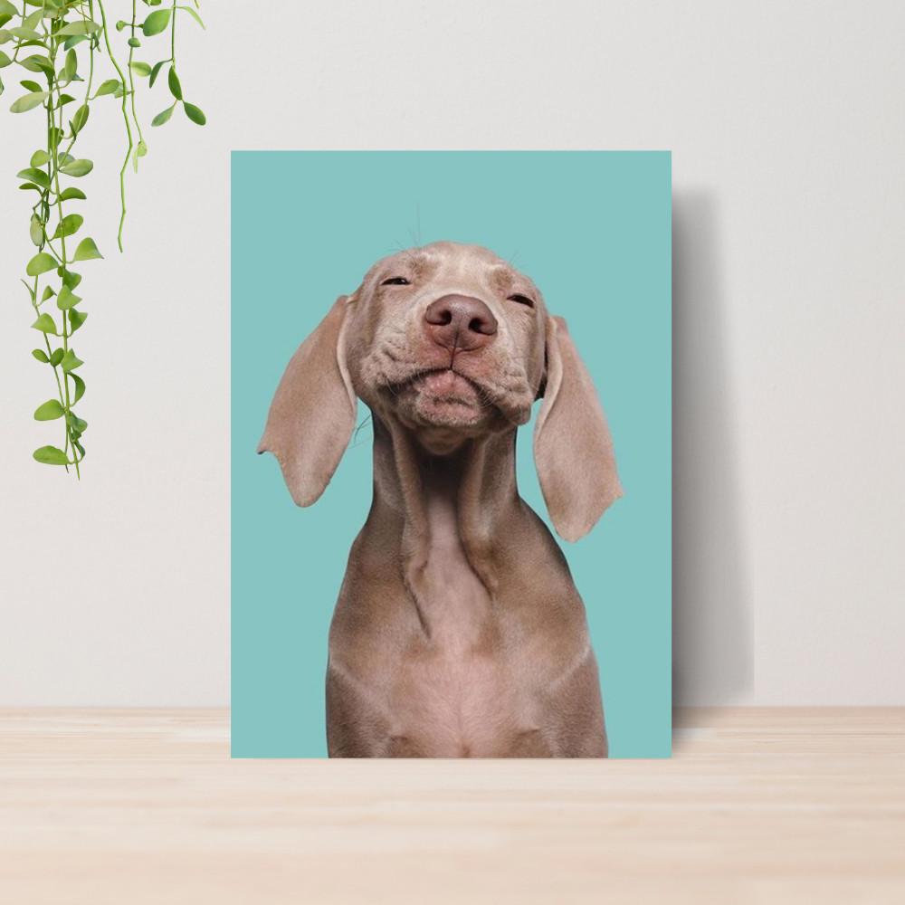 Quadro Decorativo PetShop Banho e Tosa Animais 09 Poster Pet Shop Cachorro Gato MDF