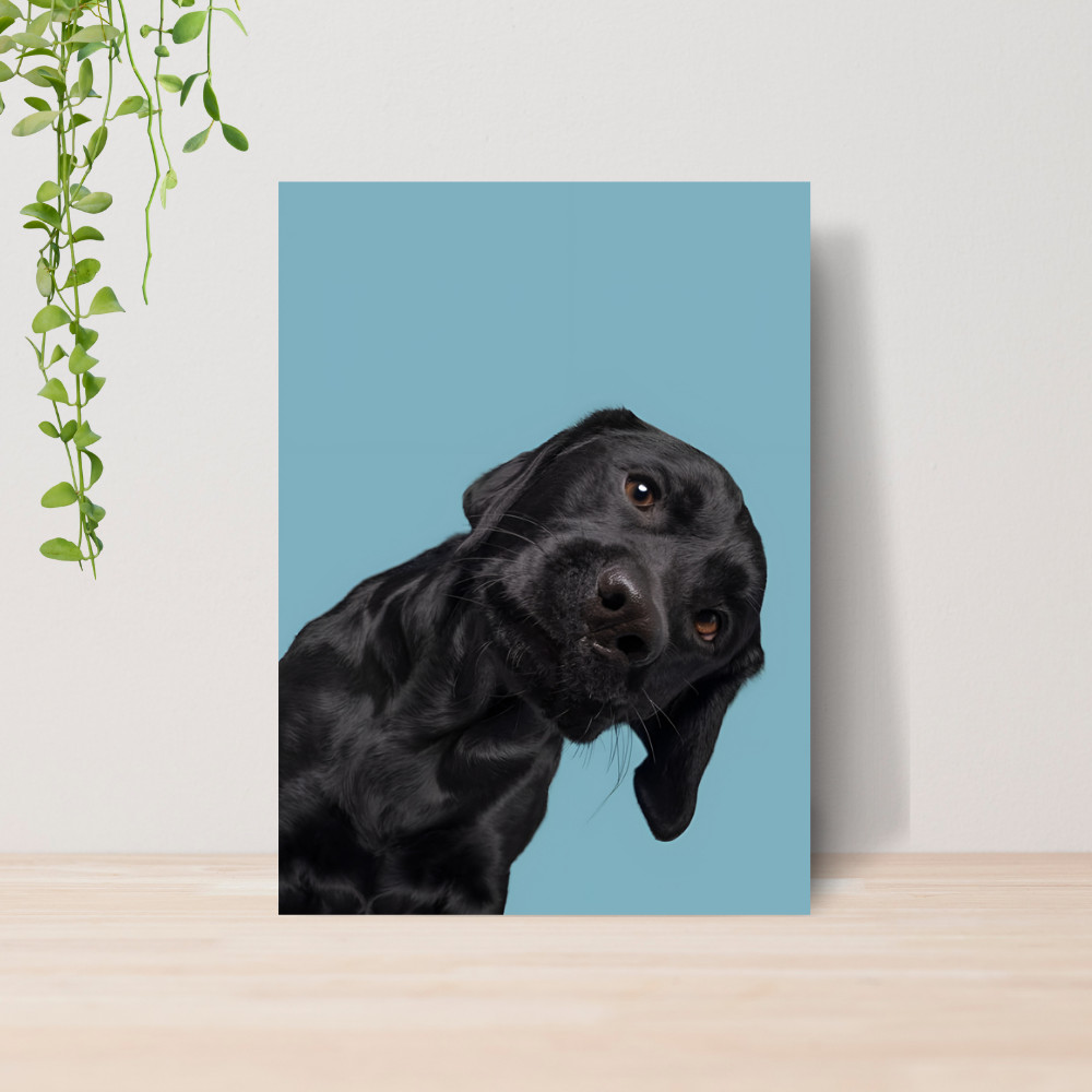 Quadro Decorativo PetShop Banho e Tosa Animais 20 Poster Pet Shop Cachorro Gato MDF