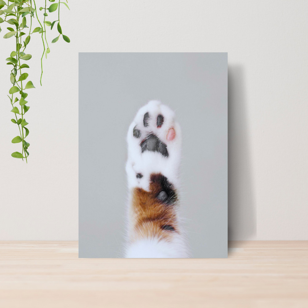 Quadro Decorativo PetShop Banho e Tosa Animais 04 Poster Pet Shop Cachorro Gato MDF