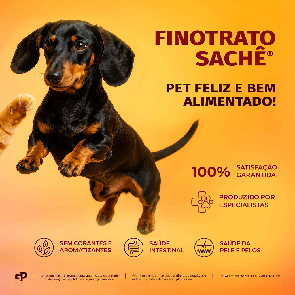 Sachê Finotrato Cães Filhotes Sabor Carne 100g · foto 2