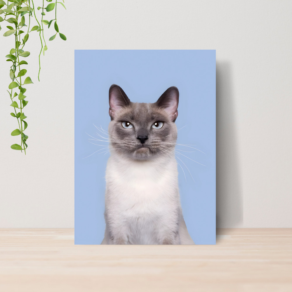 Quadro Decorativo PetShop Banho e Tosa Animais 03 Poster Pet Shop Cachorro Gato MDF