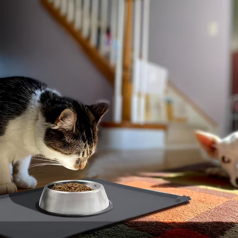 Adequado para almofadas de Silicone para cães e gatos, tigelas antiaderentes, alimentadores para animais de estimação e 