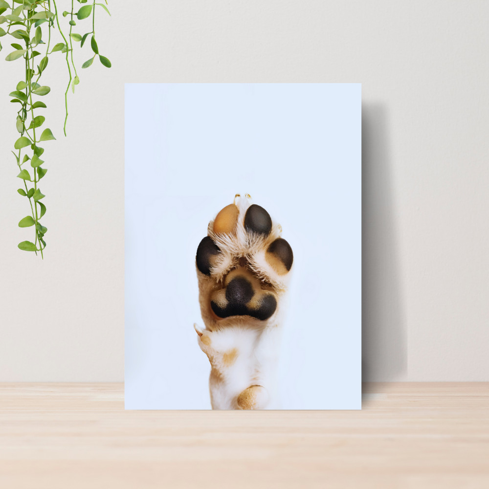 Quadro Decorativo PetShop Banho e Tosa Animais 05 Poster Pet Shop Cachorro Gato MDF