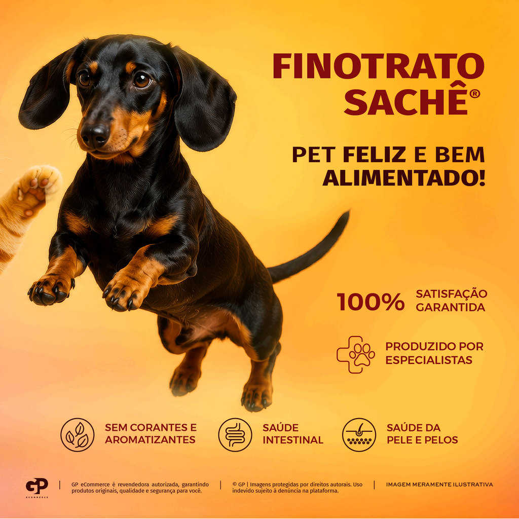 Kit CAIXA FECHADA 18x Sachê Finotrato Cães Adultos Sabor Carne 100g · foto 2