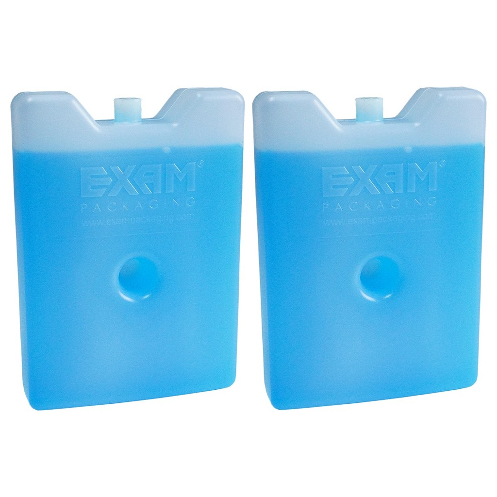 Kit 2 Gelo Rígido 600ml Gelotech Placa Artificial Reutilizável Bloco Azul Transporte Alimento Bebida