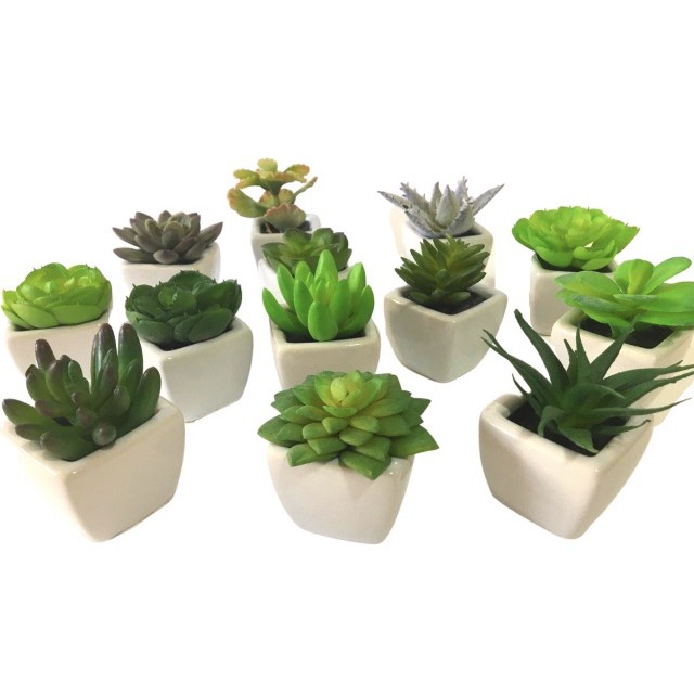 Kit c/ 6 vasinhos de mini suculentas artificiais. em Oferta na Shopee