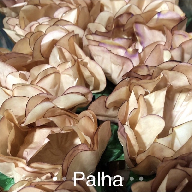 24 Forminhas PALHA Para Doces Finos, Para Casamento Aniversários, Debutantes e Decoração MOD. CELEBRARE em Oferta na Shopee