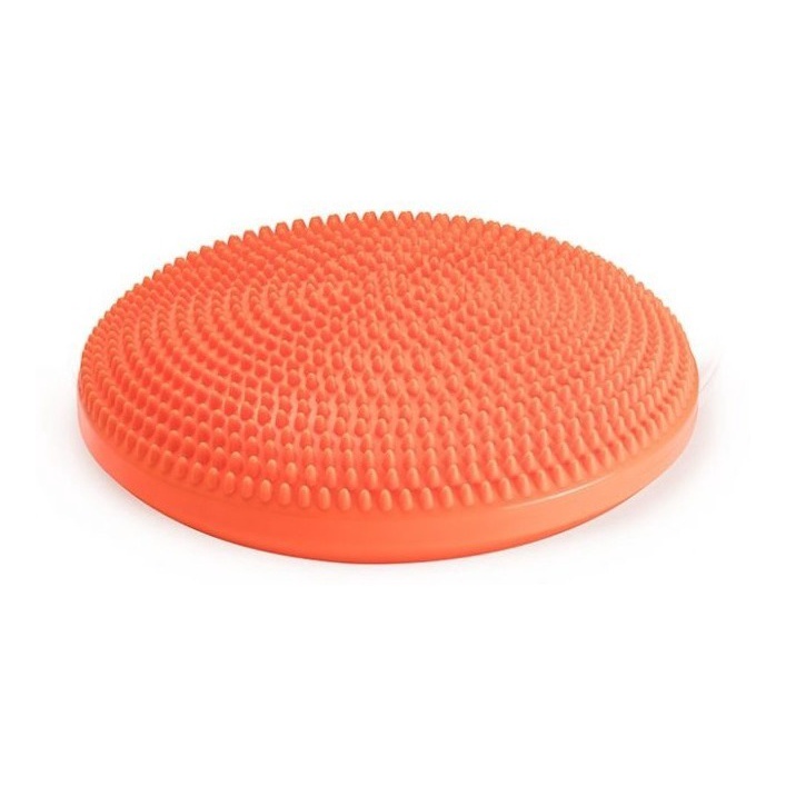 Disco Inflavel De Equilibrio E Propriocepcao 33cm Hidrolight