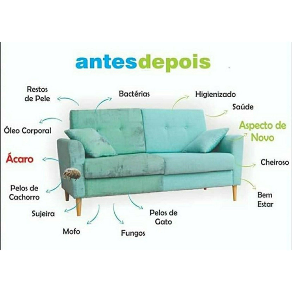 Kit Lava Seco De Estofados Sofá Colchão + Aspirador - Eco Wash -  Higienização profissional de Estofados | Shopee Brasil