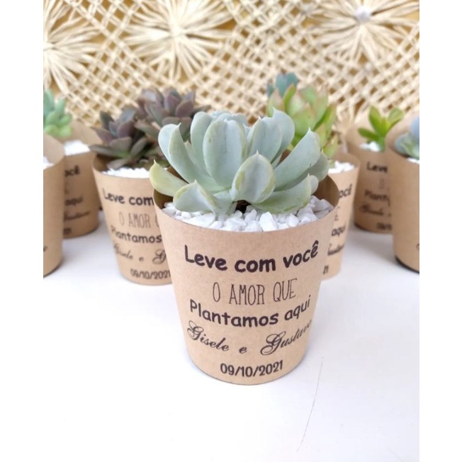 30 Rótulos Personalizados Papel Kraft para Suculentas - Pote 6 | Lembrancinha Casamento, Chá de Bebê, Aniversário
