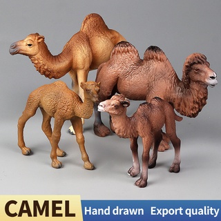 New Wildlife Mundo Sólido Simulação Conjunto Camelo Animais Modelo Figuras De Ação Brinquedos Educativos Para Crianças