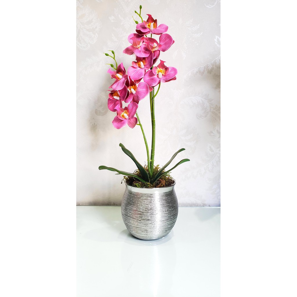 Arranjo de Orquídea Phalaenopsis Dupla Média | Shopee Brasil