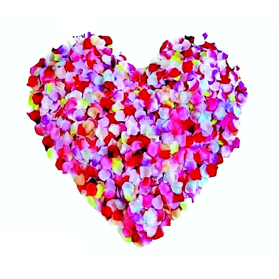 500 Pétalas De Rosas Artificiais Cores Variadas em Oferta na Shopee