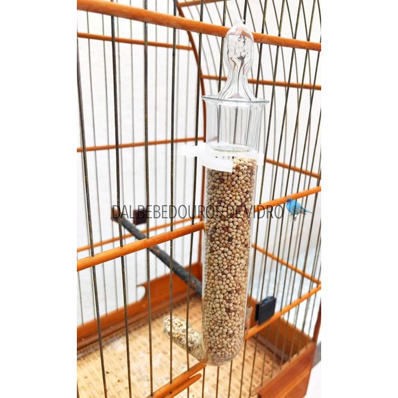 Kit 10 unidades Comedouro De Vidro Para Pássaros Luxo Malha Fina Coleira, Canário, Curió, Todas As Aves