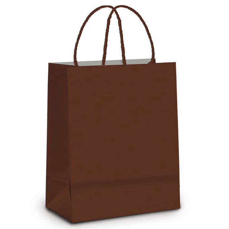 Sacola de Papel M Marrom - 26x19,5x9,5cm - 10 unidades - Cromus - Rizzo Embalagens em Oferta na Shopee