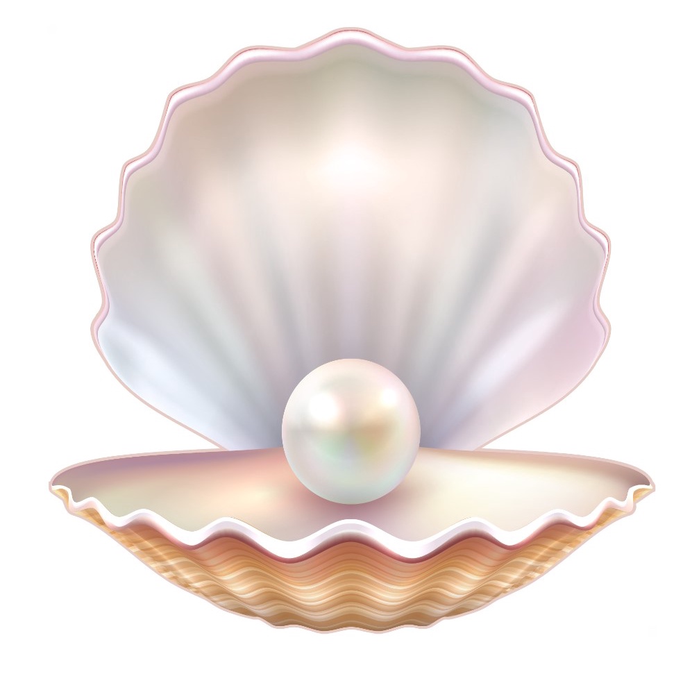 Display Fundo do Mar em MDF 1 Peça em Oferta na Shopee