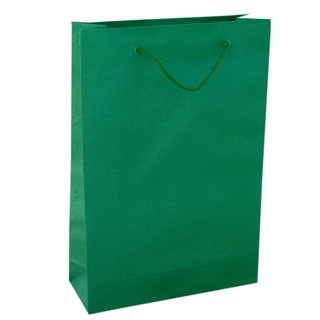 30 Sacola De Papel Verde Bandeira Presente 25x17x6cm Bolsa em Oferta na Shopee