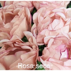 24 Forminhas ROSA SECO Para Doces Finos, Para Casamento Aniversários, Debutantes e Decoração MOD. CELEBRARE