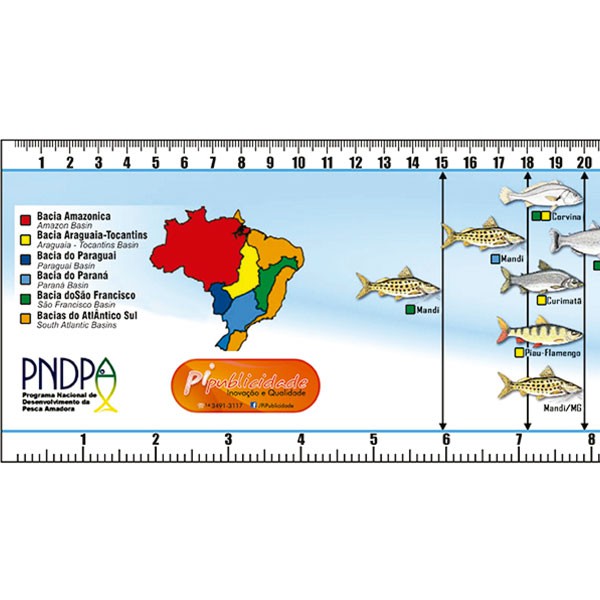 Régua De Medidas Peixes - Oficial - Tamanhos Mínimos