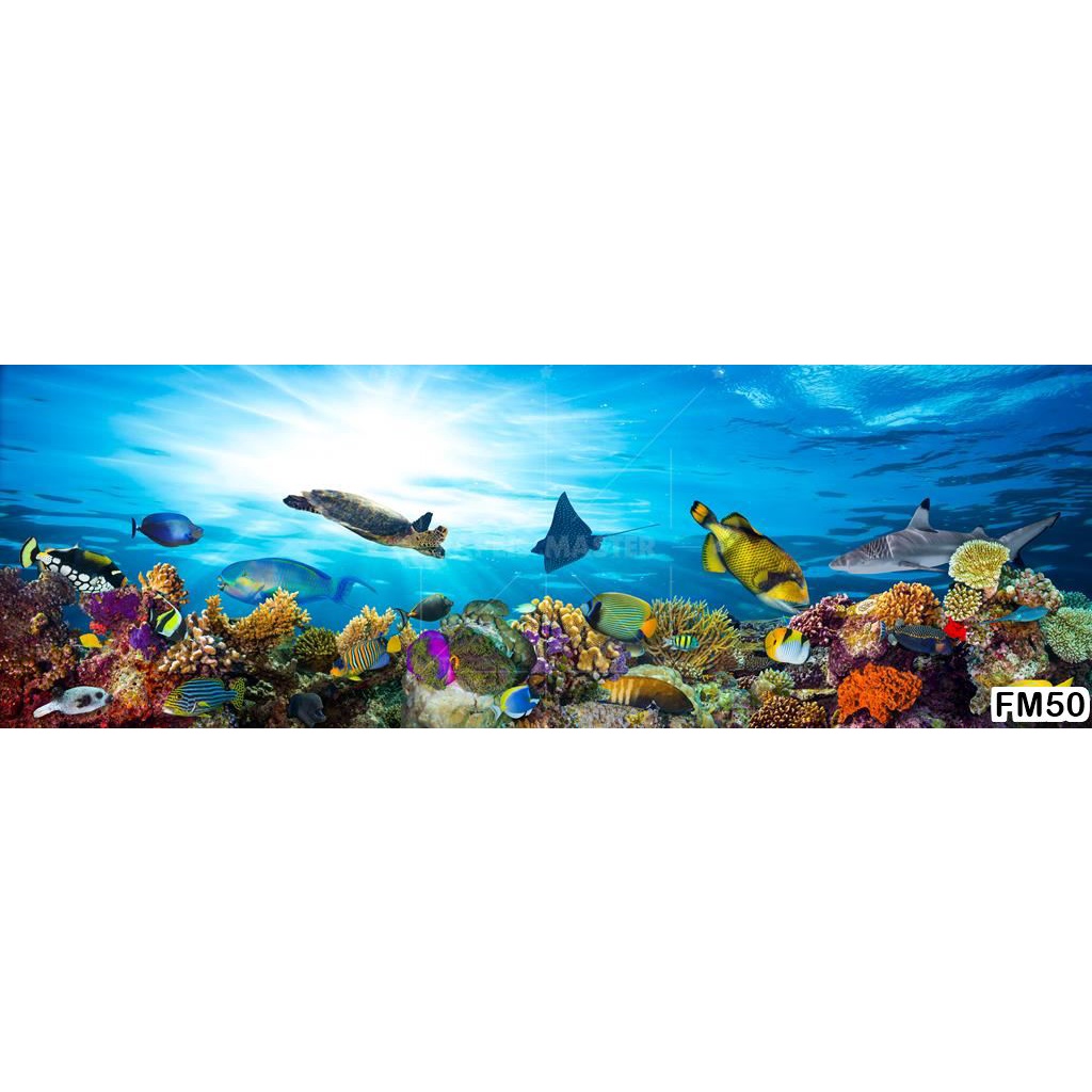 Papel de Parede Adesivo Decorativo Decoração Fundo do Mar Golfinho Peixes Tubarão Aquário Paisagem Arte FM50
