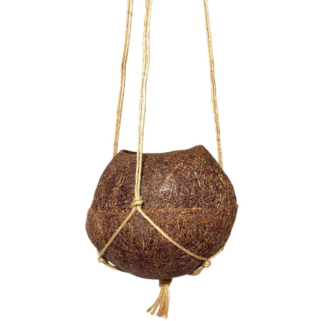 Vaso Kokedama Suspenso 10x11cm Fibra De Coco Natural Flores
