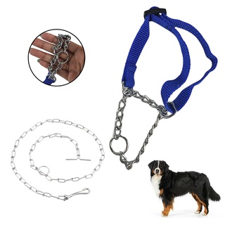 Coleira Guia Kit Corrente Aço Semi Enforcadora Adestramento Passeio Pet Caes Cachorro Treinamento
