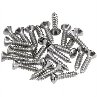 Pacote Com 24 Parafusos Cromado Para Escudo De Guitarra
