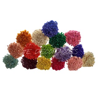 1000 Flores sempre viva natural desidratada Casamento Aniversario Convite Lembrancinha Lapela Enfeite. em Oferta na Shopee