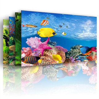Pvc dupla face decoração de fundo de aquário padrão oceano pôster de parede de tanque de peixes 30/40/50cm (altura) em Oferta na Shopee