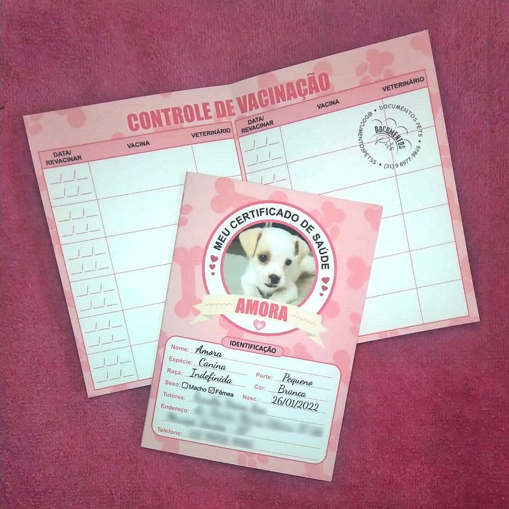 Cartão de vacina animal personalizado - Pet