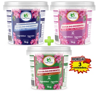 3 Potes de 1kg Multi Agrocote Rosa do Deserto Adubo Fertilizante Granulado (3M) - Floração Crescimento e Manutenção