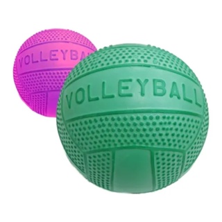 Bola De Vôlei - Biribol - Para Piscinas - 2 Unidades em Oferta na Shopee
