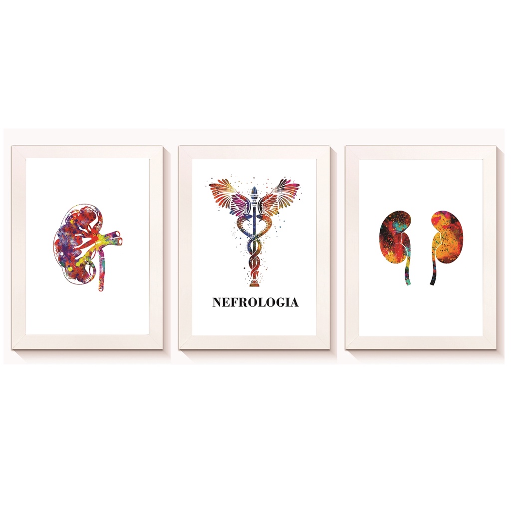 Kit 3 Quadros Decorativos Rim Símbolo de Medicina Nefrologia Urologia Consultório Medicina Madeira 20x30cm